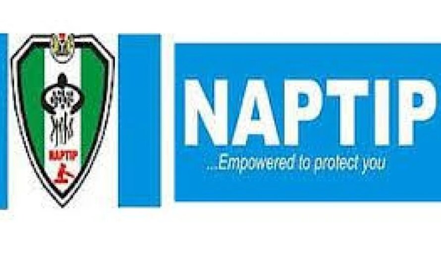 NAPTIP receives 12 rescued victims of human trafficking in Kano