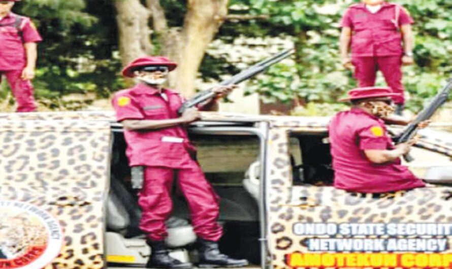 Amotekun arrests ex-prisoner for threatening family, community in Ekiti