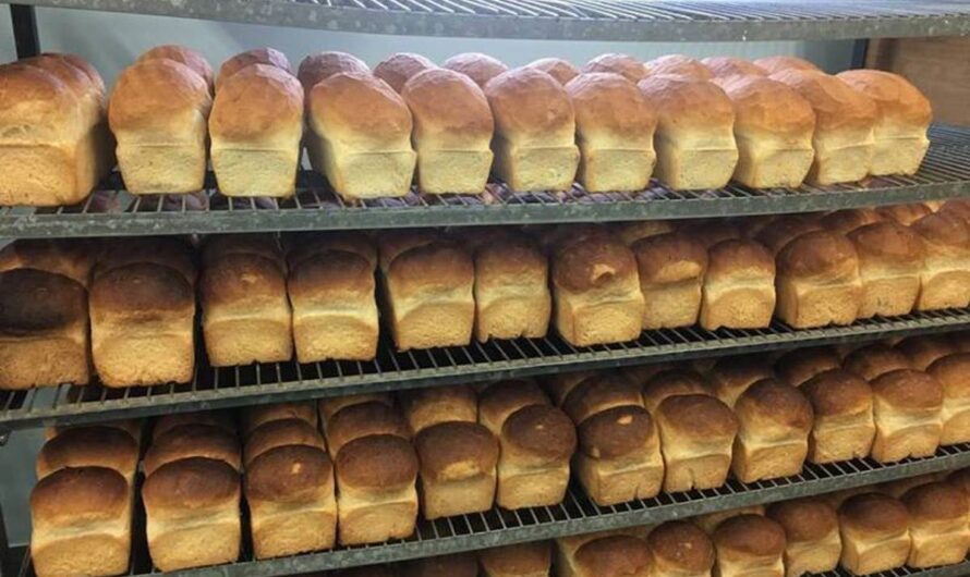 Reduction in flour cost: Kano Govt, bakers reach agreement on price of bread