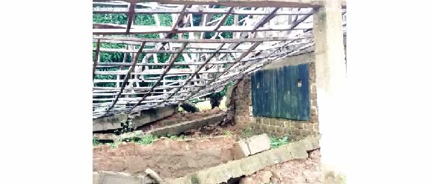 Four Yobe students discharged from hospital