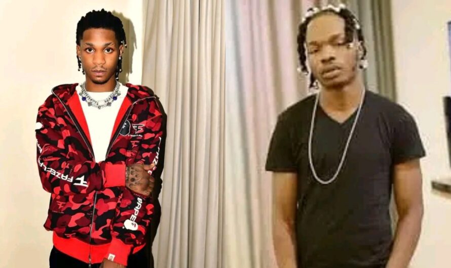 Naira Marley never abducted me, stole my $300