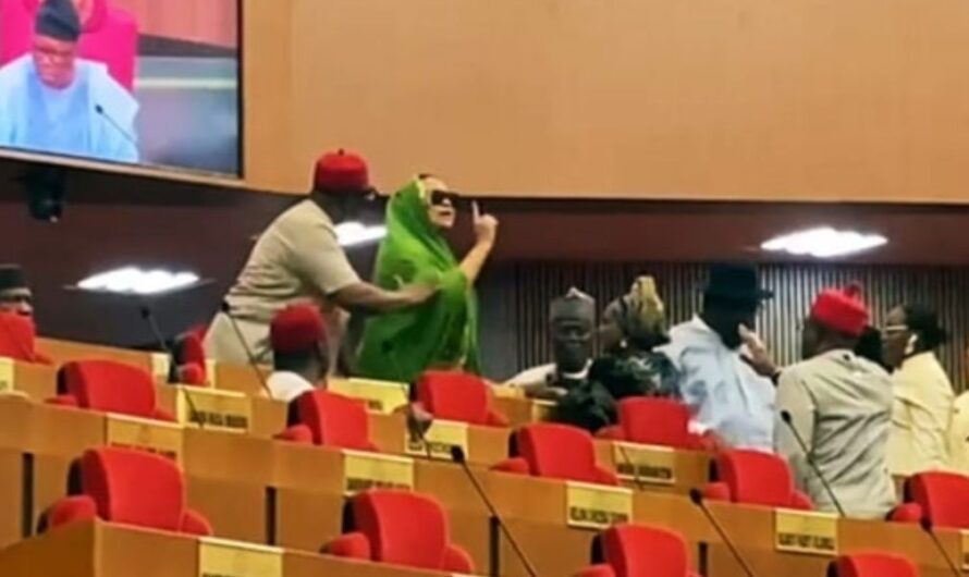 Chaos as Akpabio kicks out Natasha Akpoti from Senate