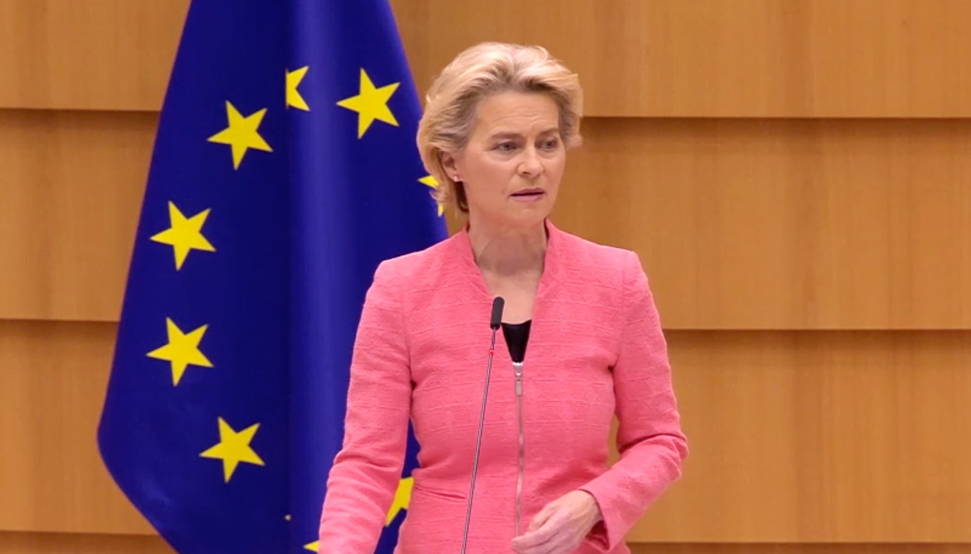 Ursula_von_der_Leyen_President_of_the_European_Commission_pillars.png