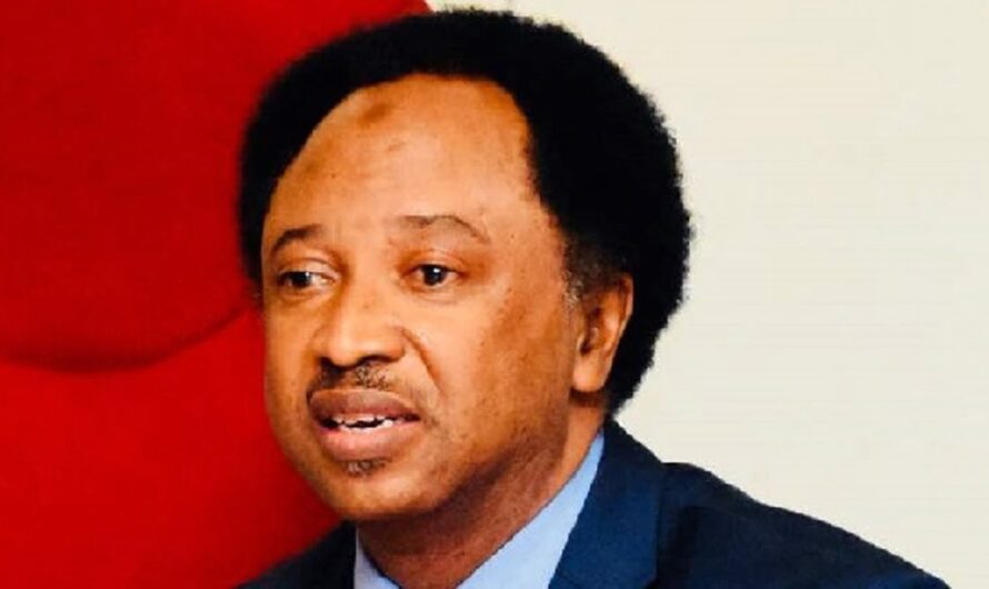 South African land, dignity more important than US aid – Shehu Sani carpets Donald Trump